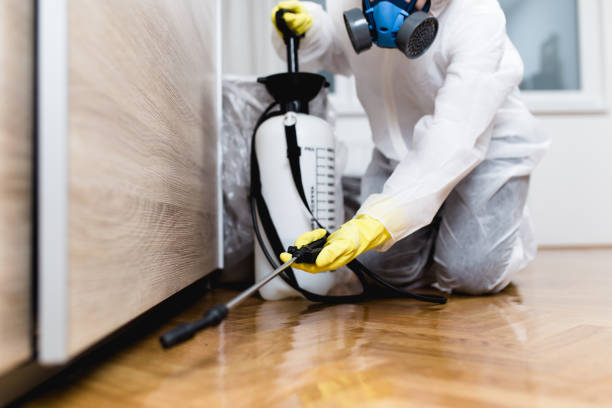 Best Pest Removal Services  in Towanda, KS