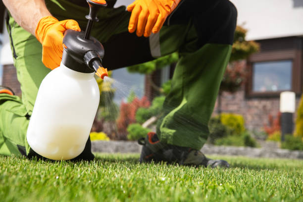 Best Bed Bug Extermination  in Towanda, KS