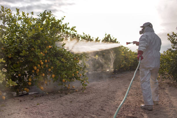 Best Pest Inspection Near Me  in Towanda, KS