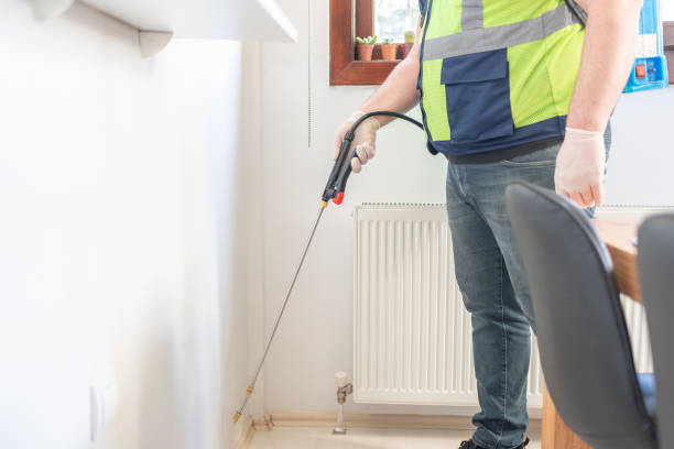 Best Ant Control Services  in Towanda, KS