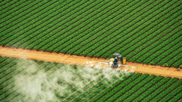 Best Commercial Pest Control Services  in Towanda, KS