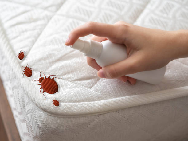 Pest Control for Restaurants in Towanda, KS