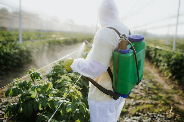 Best Pest Control for Restaurants  in Towanda, KS